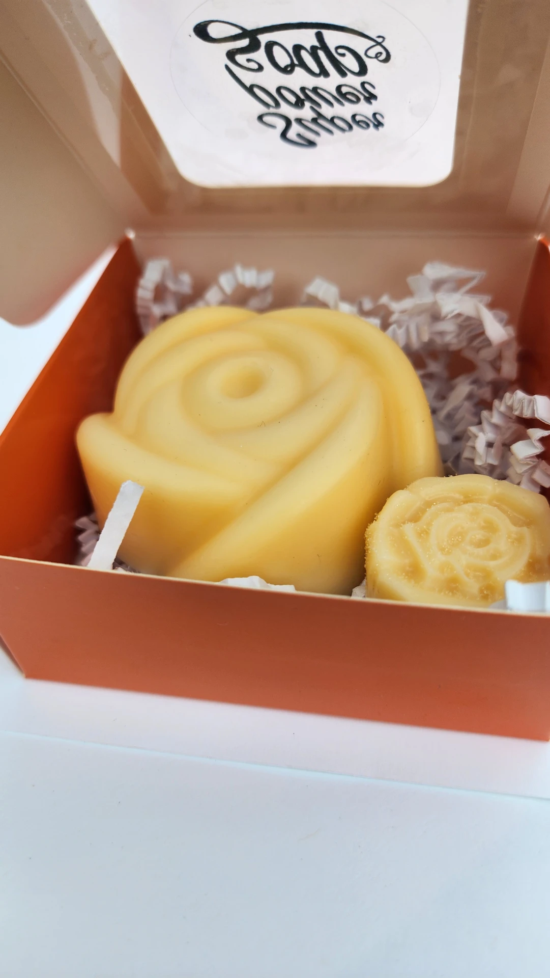 Reflections on International Women's Day 2026