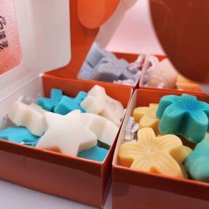 Four Seasons Hand Soap Set - Eucalyptus, Lemongrass, Lavender, and Frankincense (4 Gift Boxes)